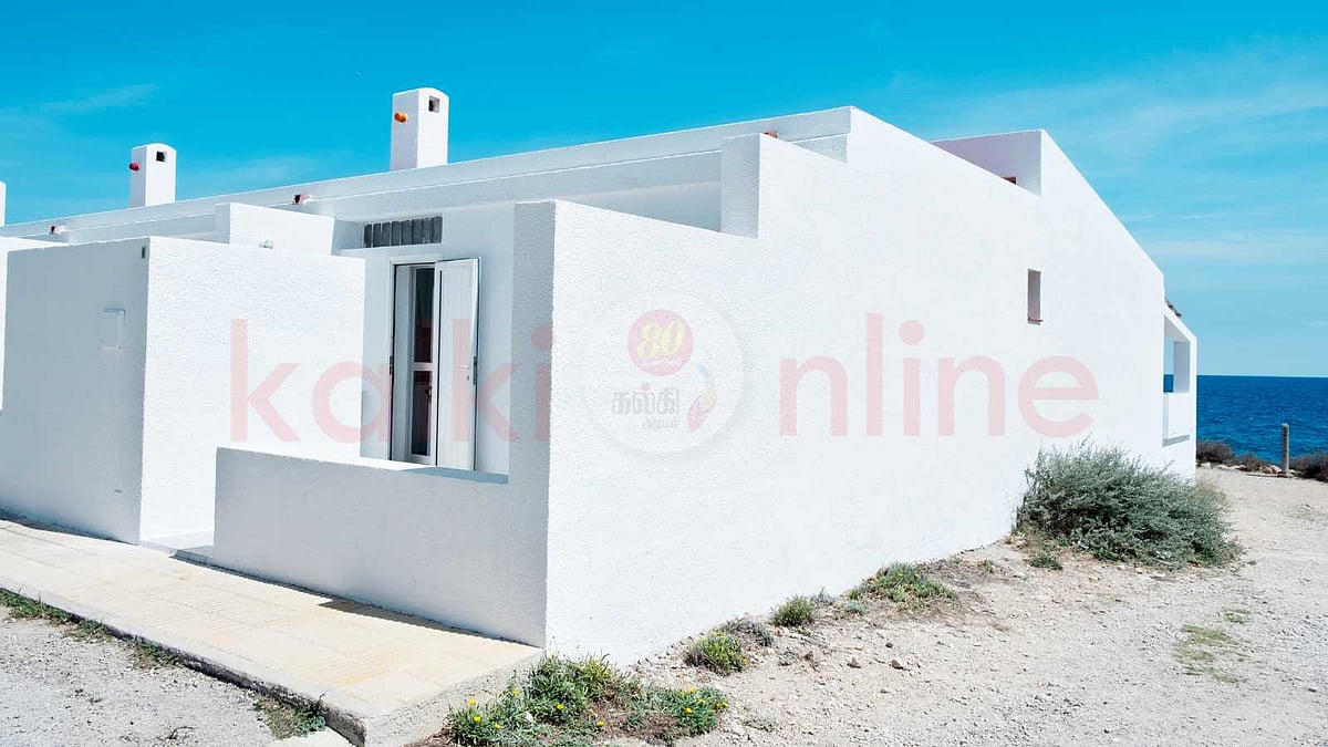 வீட்டிற்கு அடிக்கும் வெண்மை நிறப்பூச்சினால் உண்டாகும் நன்மைகள்!