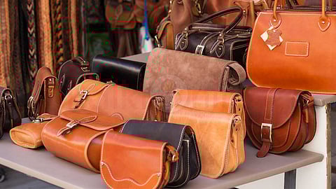story of 'ladies hand bag'