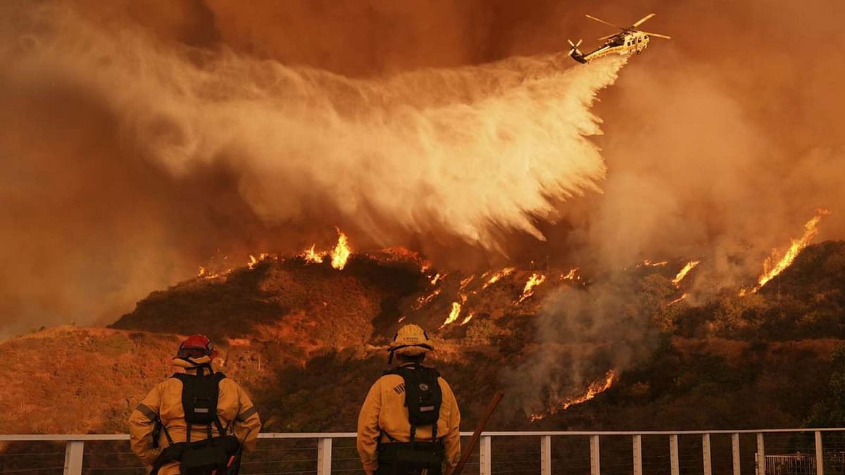 லாஸ் ஏஞ்சல்ஸ் காட்டுத்தீயில் 16 பேர் பலி! தொடரும் தீயை அணைக்கும் போராட்டம்!