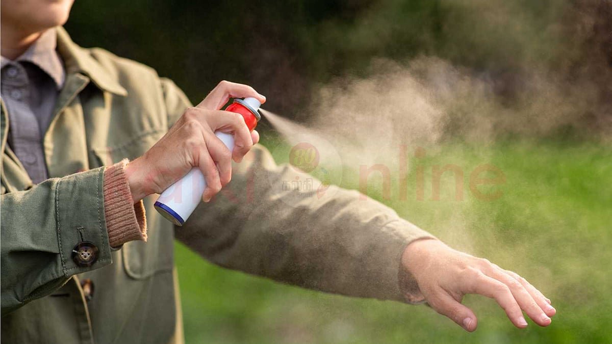 வீட்டில் இருக்கும் பொருட்களை வைத்தே கொசுக்களை விரட்டும் டெக்னிக் தெரியுமா?