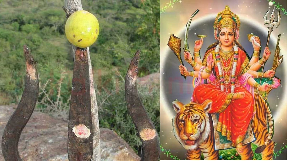 எதிர்மறை விஷயங்களை விலக்கி, நேர்மறை சக்தியைத் தரும் எலுமிச்சைக் கனி!