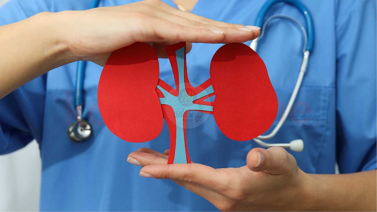 பழுதடைந்த கிட்னியை பலமாக்க உதவும் 10 வகை உணவுகள்!