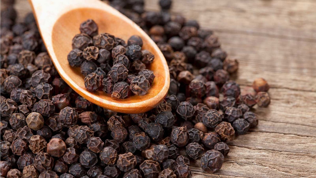 King of Spices: மசாலாக்களின் ராஜா - மிளகின் மருத்துவ பலன்கள்; பயன்படுத்தும் முறை