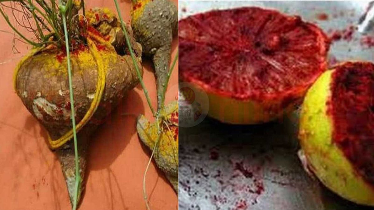 இந்த அறிகுறிகள் இருந்தால் கண் திருஷ்டி அதிகமாக இருக்கிறது என்று அர்த்தம்!