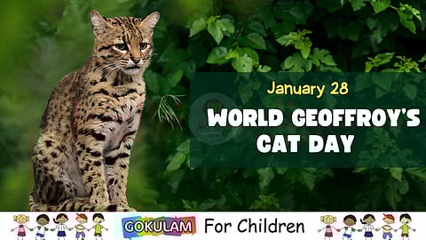  World Geoffroy’s Cat Day 