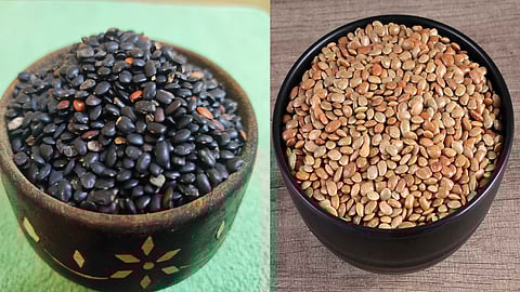 black horse gram vs brown horse gram