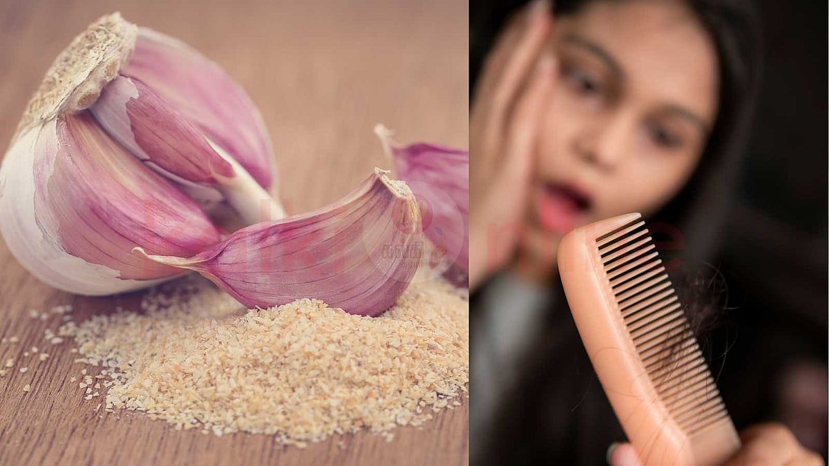 முடி உதிர்வதைத் தடுக்க உதவுமா பூண்டுப் பொடி?