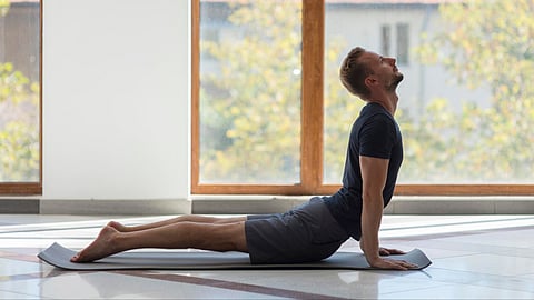 Bhujangasana