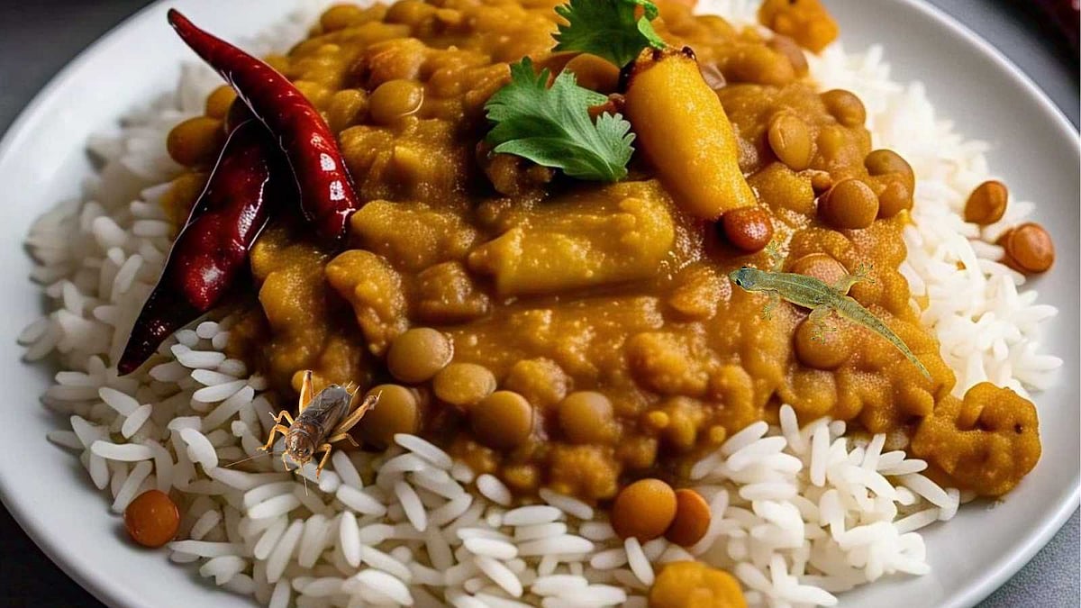 உணவில் பல்லி, பூச்சி... என்ன பயங்கரம்! உயிர் காக்கத்தானே உணவு? 