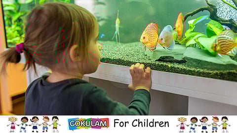 Fish tank