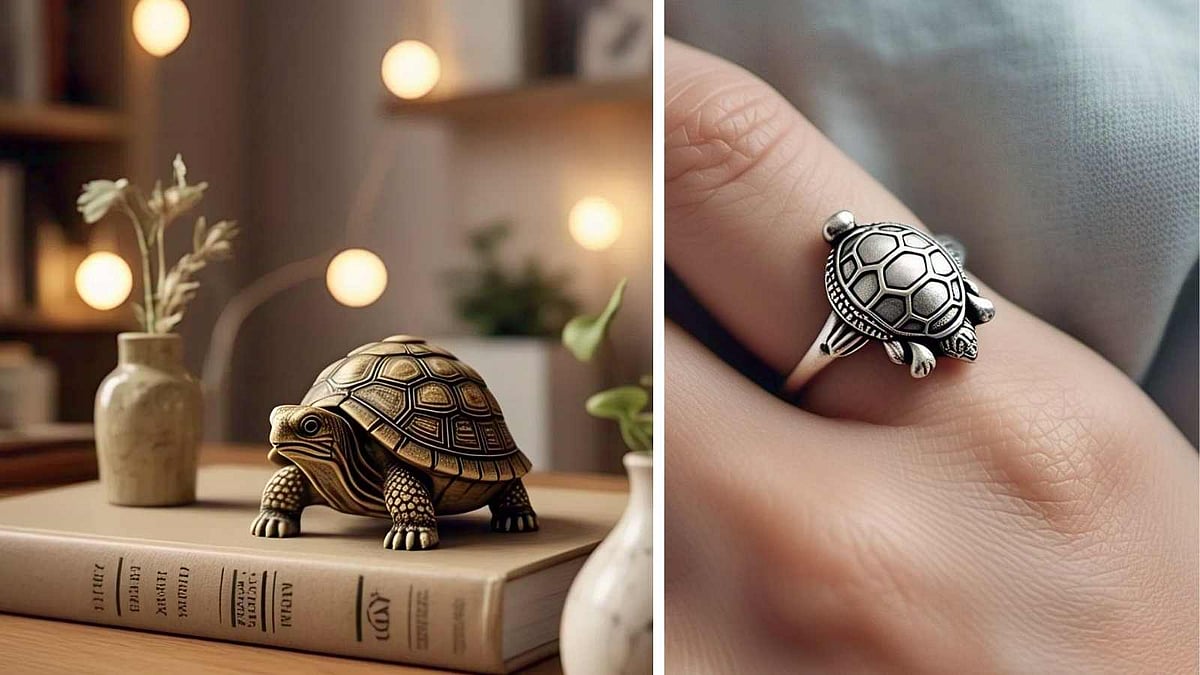 வீட்டில் ஆமை சிலை எங்கு எப்படி வைக்க வேண்டும்? பலன்கள் என்ன? 