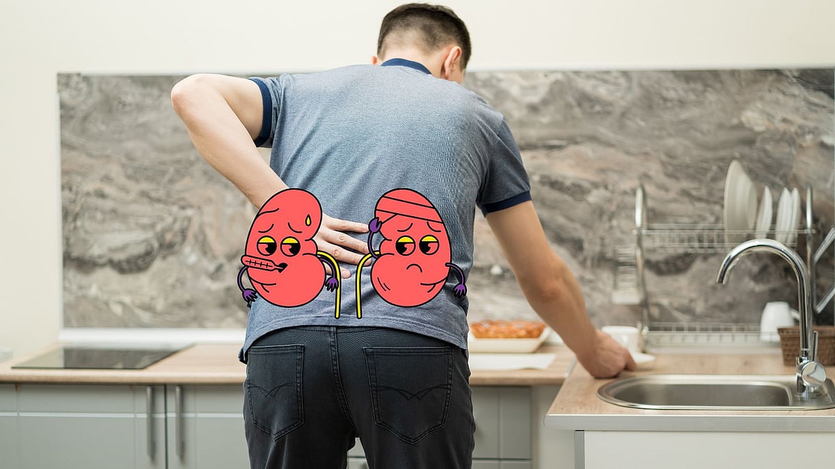 இந்தியாவில் அதிகரிக்கும் சிறுநீரக நோயாளிகளின் எண்ணிக்கை! ஆய்வுகள் விடும் எச்சரிக்கை! 