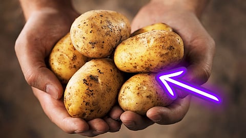 Benefits of potato skins