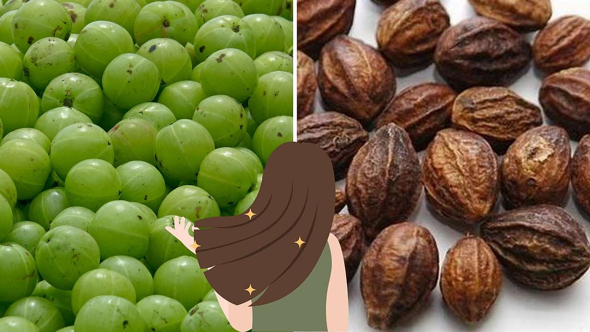 ஆரோக்கியமான கூந்தலுக்கு இந்த 2 காய்கள் போதும் 