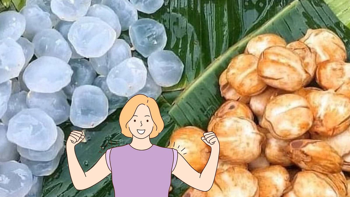 எந்நாளும் பெண்களின் நலன் காக்கும் நுங்கு 