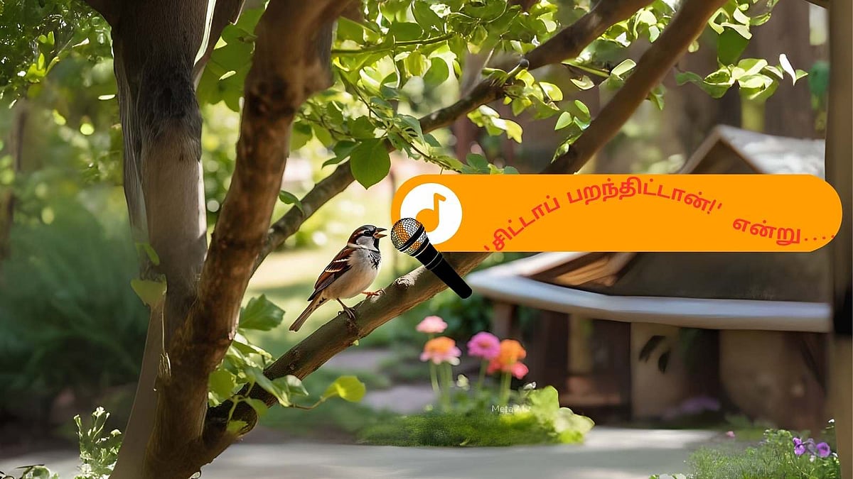 கவிதை - சிட்டுக்குருவி பாடும் பாட்டு / படும் பாடு 