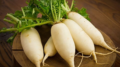 Radish