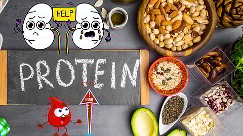 Lean Protein