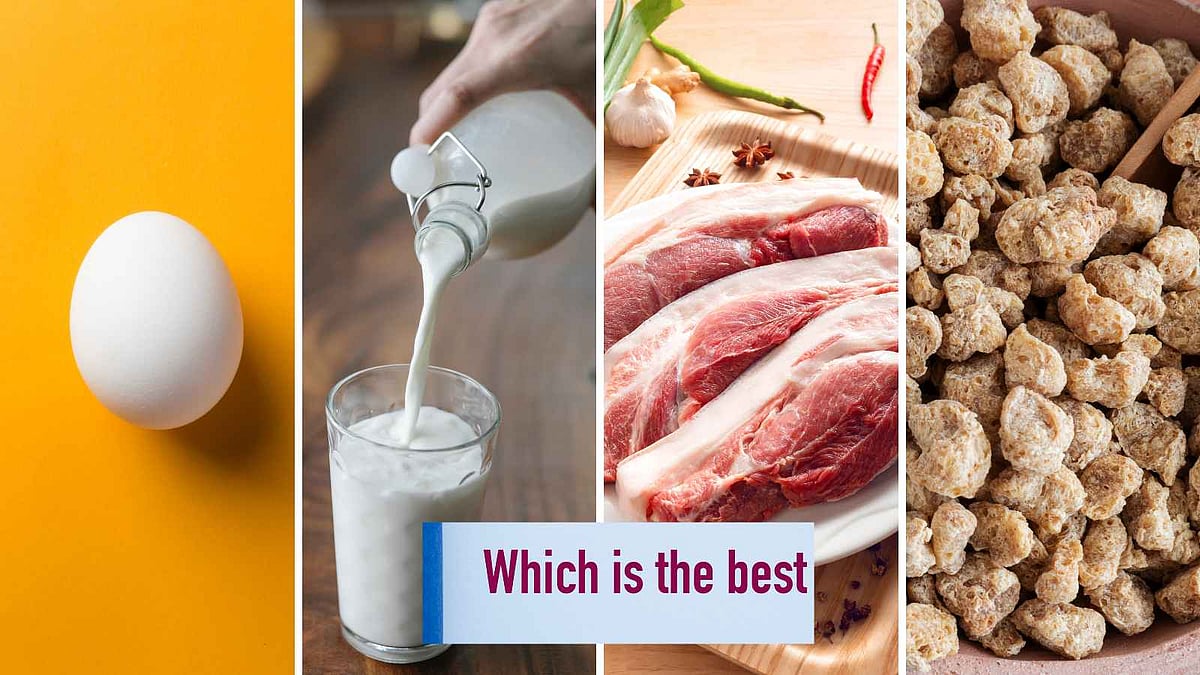 முட்டை - பால் - இறைச்சி - ஒரு கப் சோயா... நோய்களில் இருந்து தப்பிக்க எது பெஸ்ட்? 