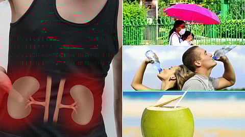 Kidney problems in summer