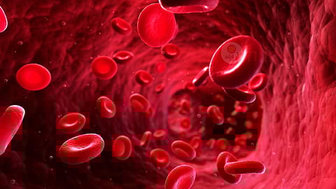 Blood