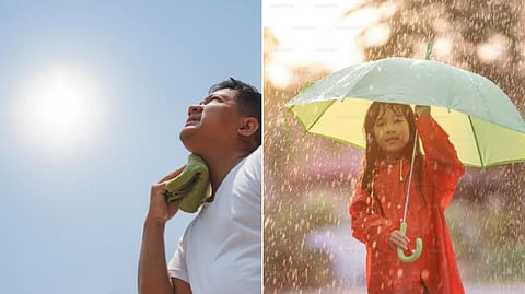 summer and rain