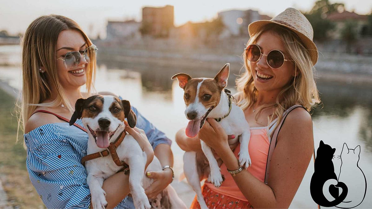 செல்லப்பிராணிகள் – மனித மனதின் ஆழங்களை நிமிர்த்தும் 'உயிருள்ள மருந்துகள்' !