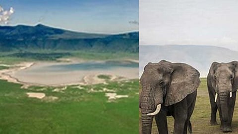 Wildlife Sanctuary