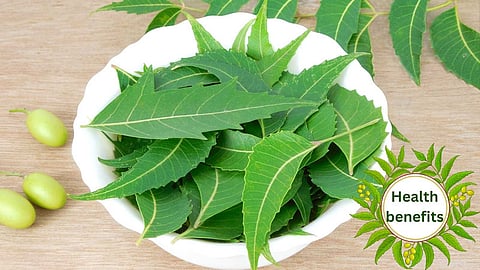 Neem
