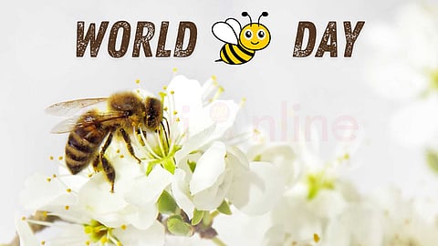 World Bee Day