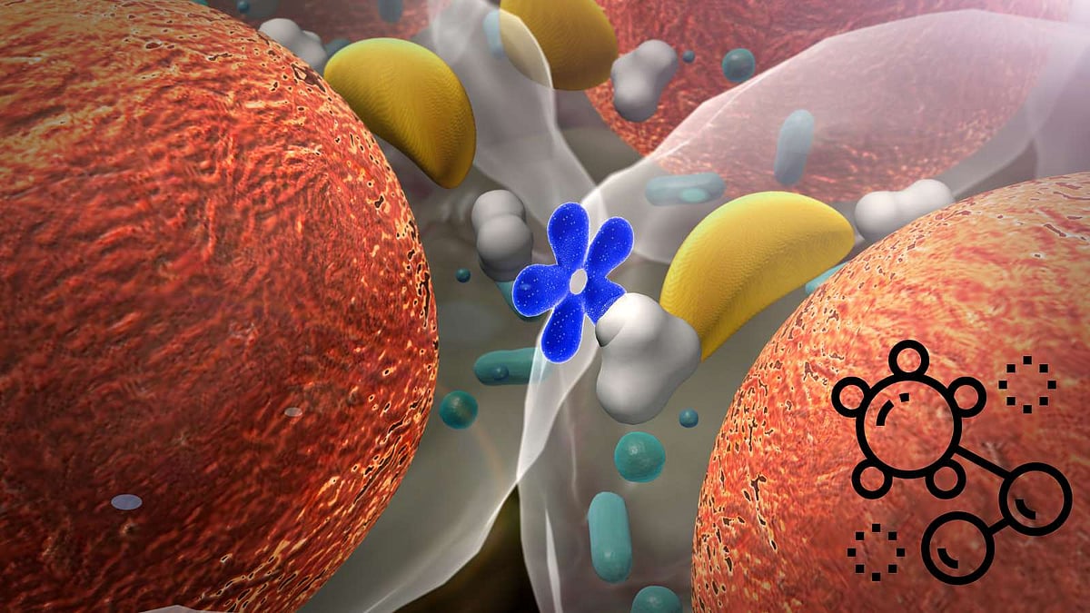 உடலின் ஹார்மோன்கள் மற்றும் அவற்றின் எதிர் செயல்பாடுகள்... அடேங்கப்பா! இப்படியெல்லாமா நடக்குது?