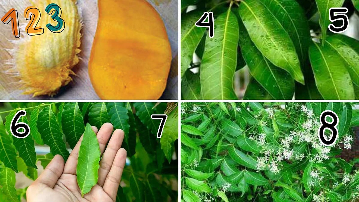 எளிய பயனுள்ள வைத்திய குறிப்புகள்! 