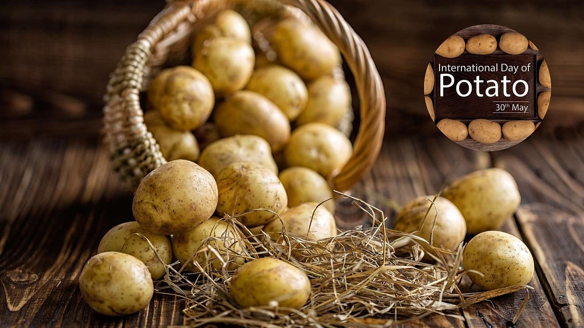 தினசரி உணவில் உருளை - நல்லதா? கெட்டதா? 