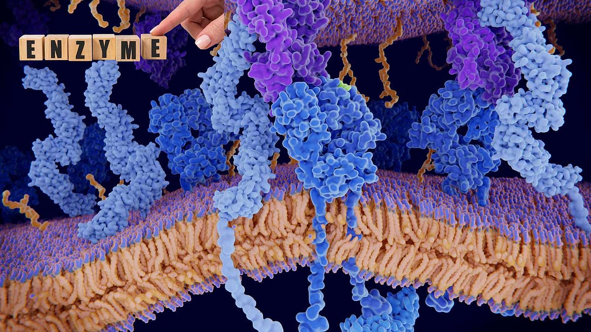 இது வெறும் அறிவியல் அல்ல; கடலின் 'மறைந்திருக்கும் கவிதை'! 