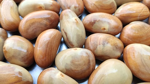 Jackfruit seeds cooking recipe