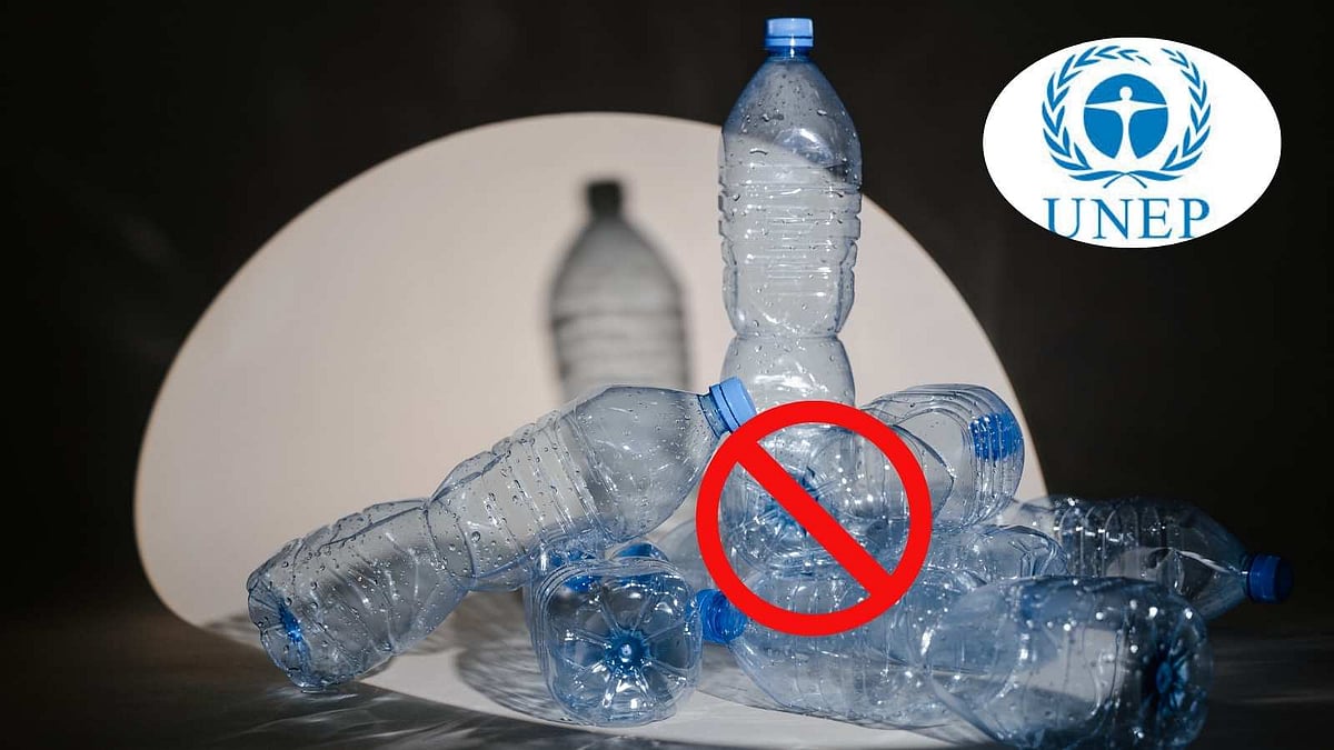 உலக சுற்றுச்சூழல் தினம் (ஜூன் 5 ) பிளாஸ்டிக் பொருட்களுக்கு மூடுவிழா எப்போது? 