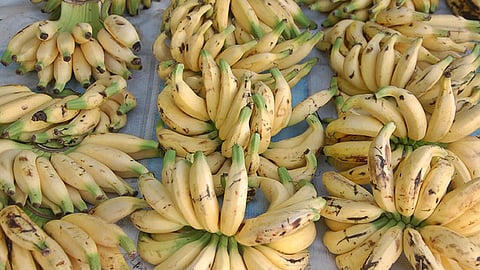 Matti banana