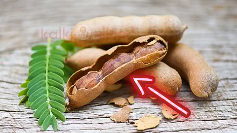Tamarind