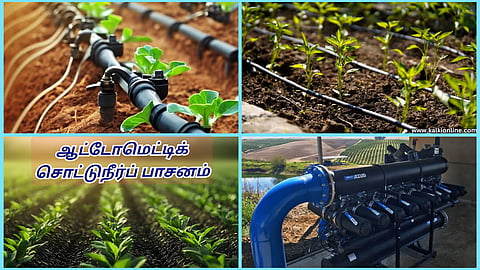 Automatic Drip Irrigation 