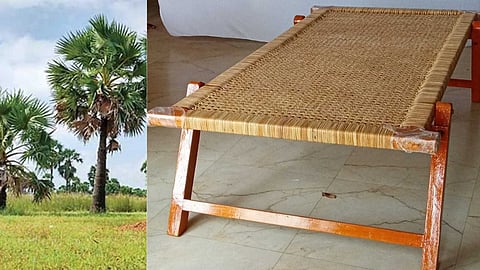 Panai Maram, Palm cot
