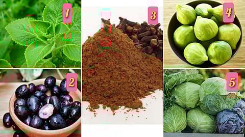 herbal medicines