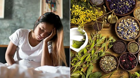 herbal medicine tips