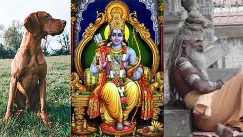 Lord Rama gave salvation to a dog