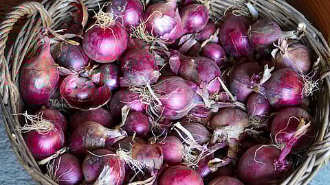 Small onion benefits