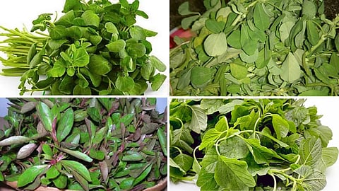 Healthy tips in greens