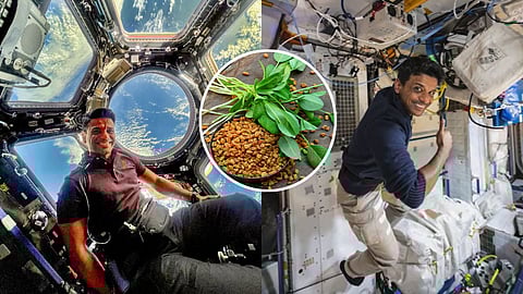 Subhanshu Shukla grows spinach and fenugreek plants