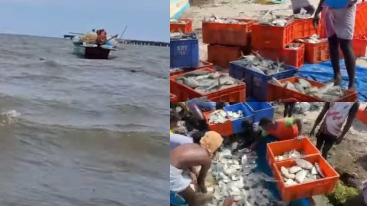 ஒரே நாளில் லட்சக்கணக்கில் சம்பாதித்த மீனவர்… கடலில் கிடைத்த அற்புதங்கள்! 