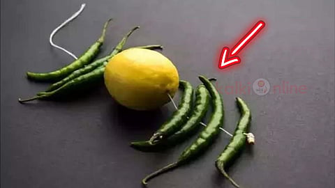 Chilli Lemon