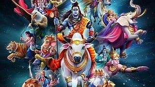 Gods and animals