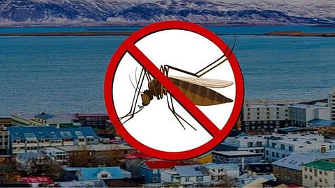 Mosquito-free country